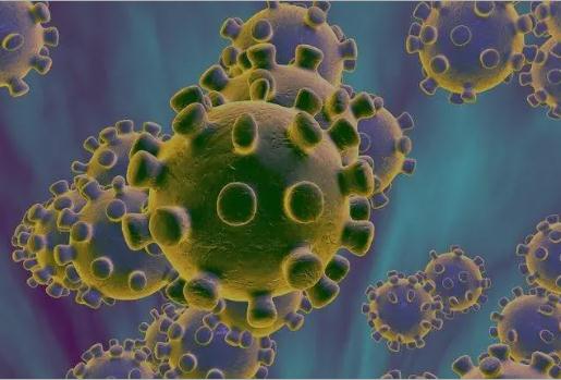 Requisitos y procedimientos básicos para la detección de un nuevo antígeno de Coronavirus