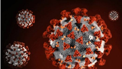 COVID-19 Antigen: los CDC americanos predicen que más de 44000 personas pueden morir de COVID-19 en las próximas cuatro semanas